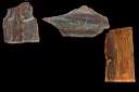 petrified wood0004.jpg